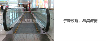 ���ֵ���‚���������Զ����е�